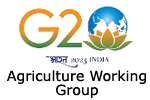 G-20